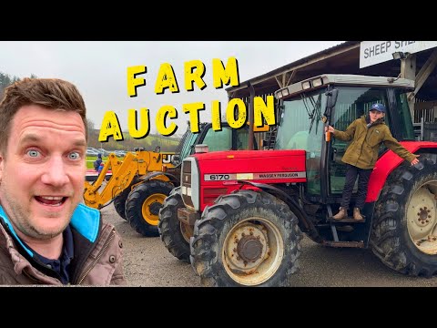 Stags Sale at Westpoint and the South West Machinery Show!