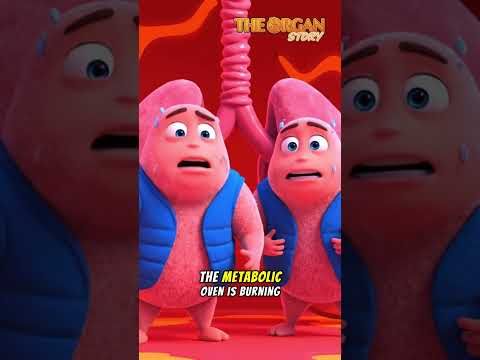 How Does a Sugar Rush Sabotage Your Organs ? | The Organ Story #organ #sugar #health #science