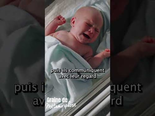 Parlez-vous le nouveau-né ?