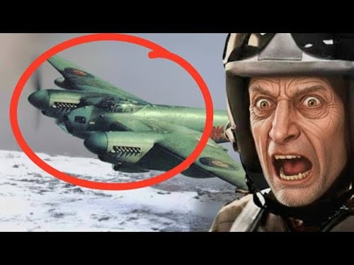 German Pilot Stunned When Mosquito Appears in Berlin