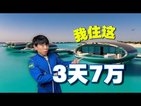 3晚7万!这可能是我住过最离谱的酒店了