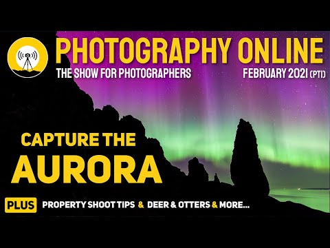 Photograph the NORTHERN LIGHTS | How to Shoot Interiors | Basic Wildlife Photography Tips