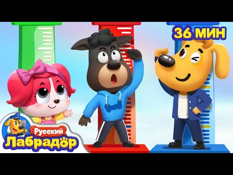 🩺Все на медосмотр! | 🥦Хорошие привычки в жизни | 📺Сборник мультиков для детей | Шериф Лабрадор