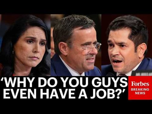 Jimmy Gomez Ruthlessly Grills Tulsi Gabbard, John Ratcliffe Over Their Comments On Trump And Iran