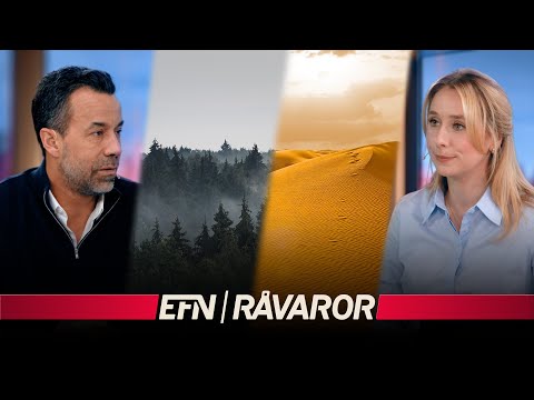 Sällsynt sand och hopp om guld i skogsindustrin