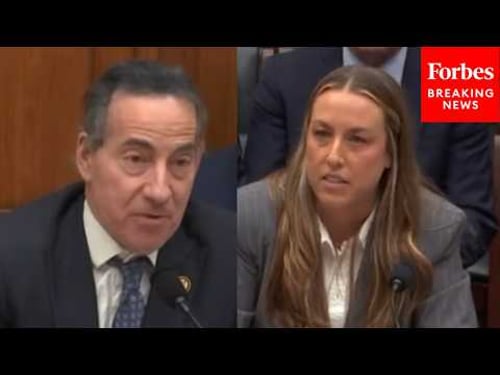 'What's Inciting A Violent Insurrection Against Your Own Government?': Raskin Grills GOP Witness