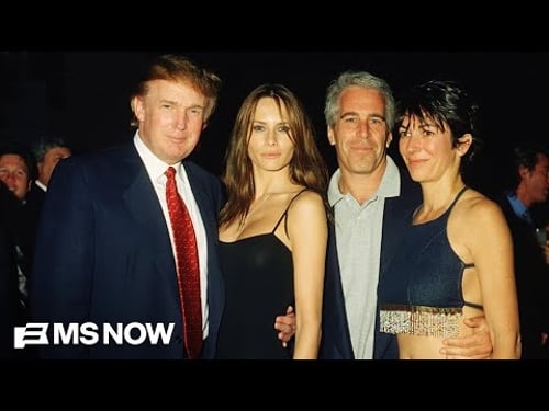 Raskin: Epstein document drop 'not a game of hide-and-seek'