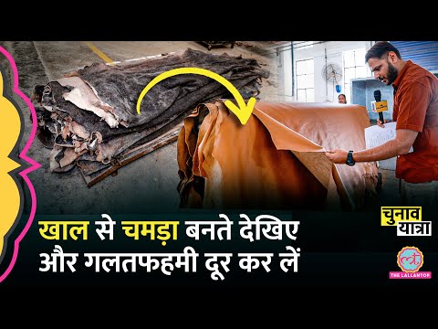 Leather Making Process | इतना चमड़ा आता कहां से है और जाता कहां है, सब जान लीजिए | Punjab Industry