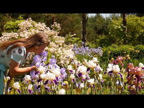 Фильм 'Земляне' о жизни в Родовом поселении.