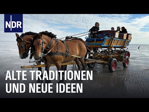 Cuxhaven und die Wurster Küste | die nordstory | NDR Doku