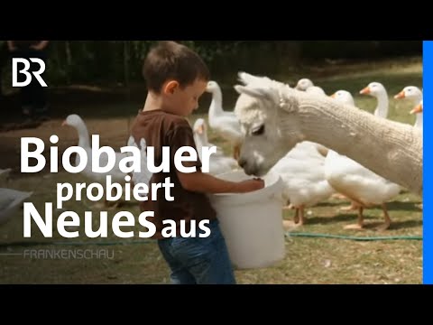 Landwirt mit Ideen: Kreativer Bio-Bauernhof statt traditionelle Milchviehhaltung | Frankenschau | BR