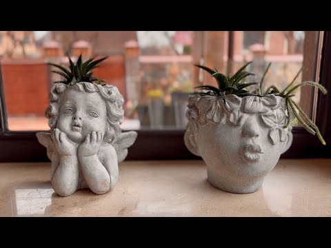 WHILE THERE'S NO LIGHT, I'M WASHING THE WINDOWS AND REPOTTING SUCCULENTS! IT'S EXCITING!