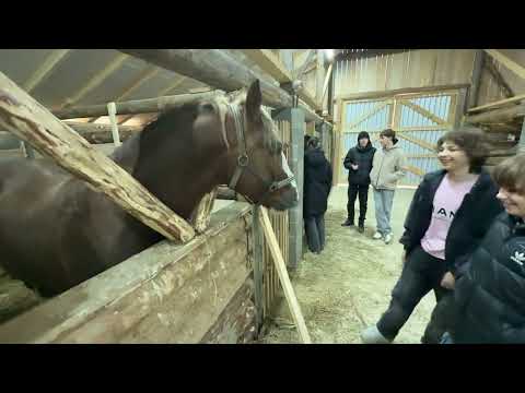 Lyceum 92 Kyiv 11.11.2025 Карпати очима ліцею 92: Ферма