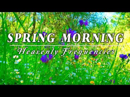 Relaxing Nature Ambience Meditation 🌾 8h G E N T L E - B R E E Z E 🌾 Healing Sounds of SPRING