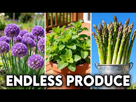 15 Veggies That Multiply Like Weeds—A Lazy Gardener's Goldmine