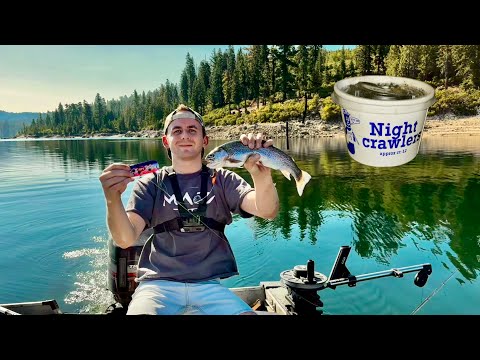 How To Catch MORE Trout With This Simple Setup