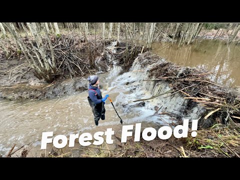 I Had to Fix This Immediately!