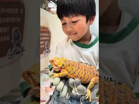 Meland萌寵樂園餵動物😍🤩