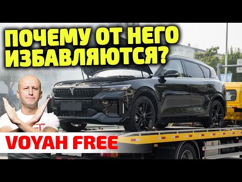 DON'T BUY Voyah Free if you don't know about THIS! All the problems of the "Chinese Audi."