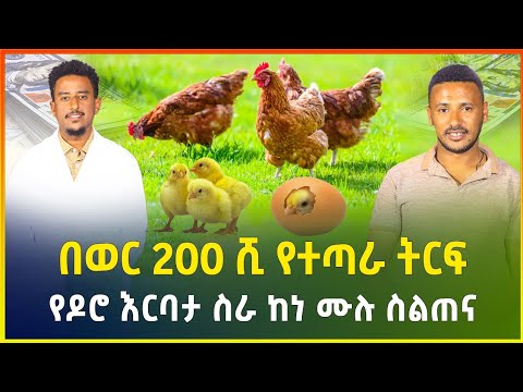 በወር ከ200 ሺ ብር በላይ የተጣራ ትርፍ የሚገኝበት አዋጭ የዶሮ እርባታ ስራ ከነ-ሙሉ ስልጠና | Chicken farming | business | Gebeya