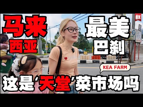 🔥逆天奇观!🔥金马伦玉米竟然会撒尿?中国人长见识了!大马最美巴刹,全家逛到流泪!没来=白活一辈子!享受观众推荐平靓正西餐,发生严重事故!