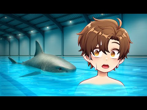 THERE'S A SHARK IN MY POOL