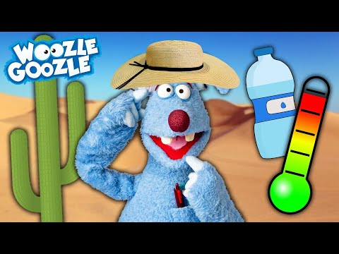 Wie entsteht eine Wüste? l WOOZLE GOOZLE