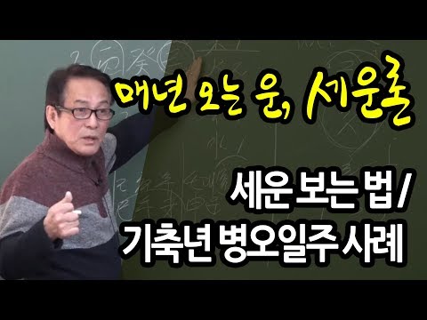 세운론? 매년 오는 운! 세운 보는 법과 기축년 병오일주 사례 - 지정도 선생님