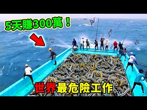 全世界最危險的10項工作,第七名5天能賺300萬,去一趟就得死一個人?第一名死亡率高達99%,連保險公司都拒保?這不是上班,這是上刑場!