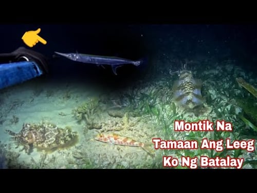 Episode 642 montik Na Tamaan Ang Leeg Ko Ng Batalay night spearfishing Philippines