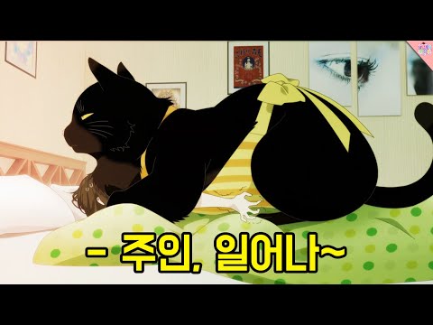 주워 온 고양이가 계속 커진다 ㅋㅋㅋㅋㅋ(집안일도 함 ㅋㅋㅋ개커엽)