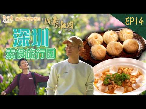 橫素全中國|深圳素食旅行團 梧桐山洗滌心靈素食滋味|尚古堂食品 特約:橫素全中國 | EP14| 敖嘉年 |呂頌賢 |HOY TV