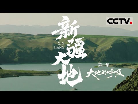 《新疆大地》01 大地的呼吸:塔克拉玛干沙漠玫瑰悄然绽放 共同聆听新疆大地的深沉呼吸【CCTV纪录】