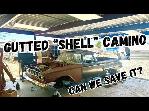 We bought a RAVAGED 60 “shellcamino”. Can we make it run and drive ? Part 1