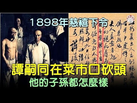 公元1898年,譚嗣同被慈禧下令在菜市口砍頭,他的子孫都怎麼樣了? #中國歷史 #中國歷史人物 #中國歷史解密 #中國古墓