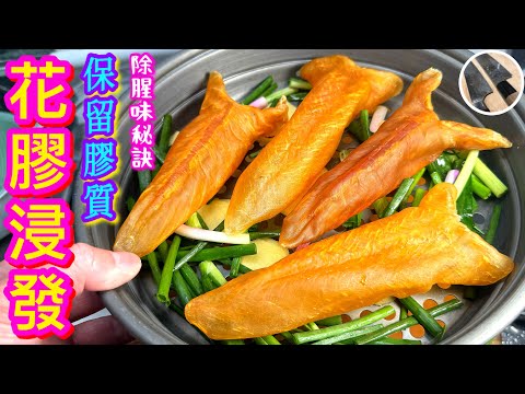 【花膠浸發. 蒸焗法💠】 32小時詳解⭐️保留膠質/選購/發水變化😍除腥秘訣🎯筒膠/鱈魚膠通用🫰🏻唔想走膠就咁發啦🙌🏼💪🏼😊