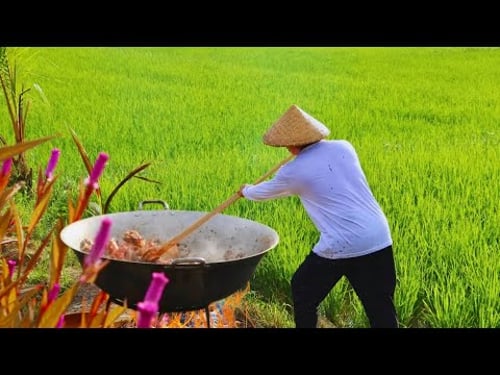 Seafoods Fiesta in the Heart of Green Ricefields | Harvest Corn, Grilled Fish, Seafoods Overload