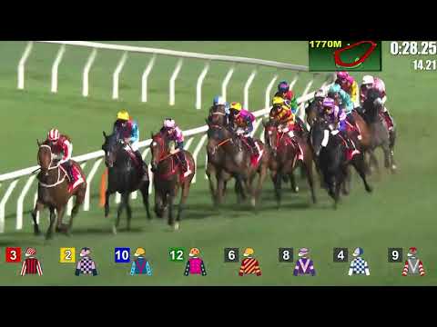 2025 12 23 跑馬地 全晚賽事 一鍵重溫