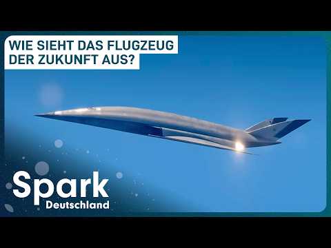 Die erstaunliche Evolution des Fliegens | Doku