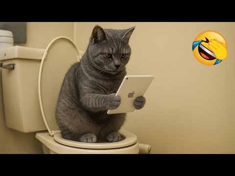 Cute & Funny Pets 2025 π₯°π #3 | Best Cats & Dogs Compilation πΎ