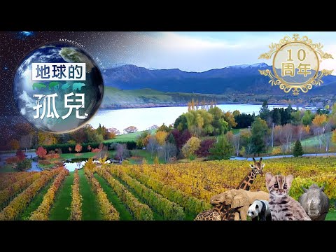 地球的孤兒 ~ 奇異鳥計畫 Orphans of the Earth/Pure New Zealand 【全集】|白心儀