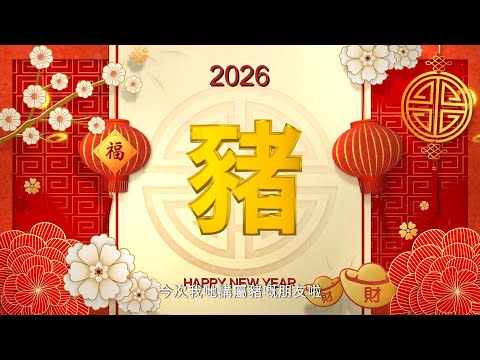 2026丙午馬年 屬豬運程 |十二生肖 丙午馬年 屬豬運程 #馬年運程 #12生肖 #加密貨幣馬年幣運 #肖豬 #狗豬 #2026生肖運程