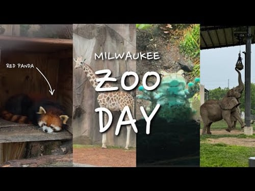 MILWAUKEE ZOO DAY VLOG | 2024 | #milwaukee #zoo #vlog