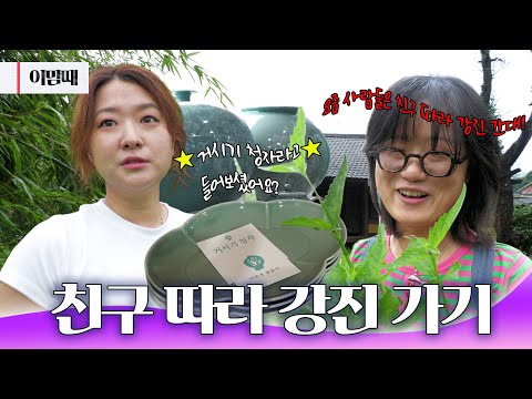 친구 따라 강남 가기? 요즘은 강진 가기! ✨ 청년들이 열어가는 요즘 강진 | 250911 KBS 이맘때