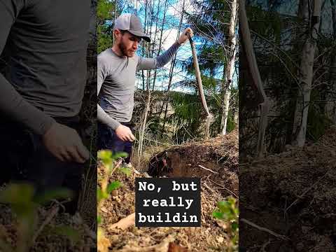 Dugout shelter in construction!