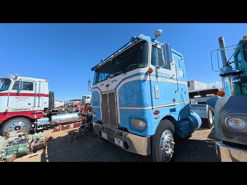 Truck Shopping in a GOLD MINE of a JUNKYARD!!