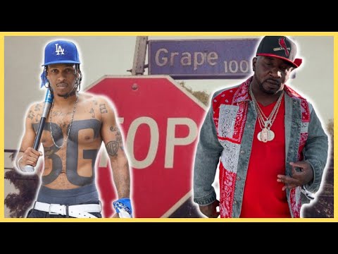 10 Most Dangerous Gangs In Watts, California