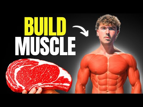 How To Build Muscle On The Carnivore Diet (Full Guide)