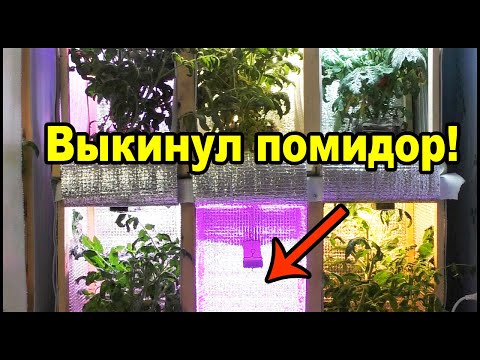 Фитолампы для растений вред синего спектра