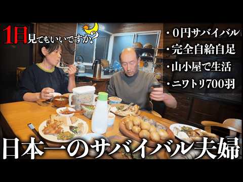 森の小屋でニワトリ700羽を食べて暮らす夫婦に1日密着!日本一のサバイバル自給自足の暮らしが異次元だった...